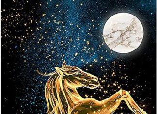 The Top 3 Zodiac Signs That Love to Play, Neglect Their Careers, But Dramatically Turn Things Around After 35, Becoming Rich by 40.