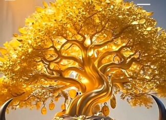 20 Days of Spiritual Transformation: Nurturing the Virtuous Cycle of Prosperity and Bliss.