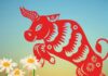 The Golden Week for Three Zodiac Signs: Seizing the Moment to Thrive and Prosper.