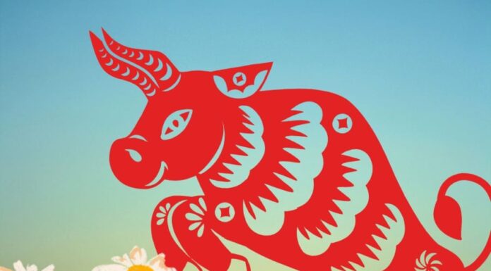 The Golden Week for Three Zodiac Signs: Seizing the Moment to Thrive and Prosper.