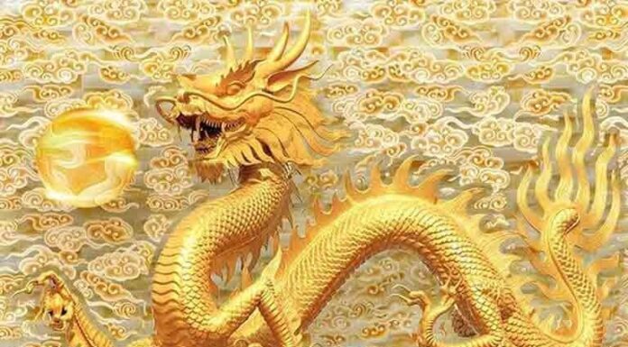 3 Zodiac Animals: Unlocking a Wealth of Opportunities for the Next 5 Years