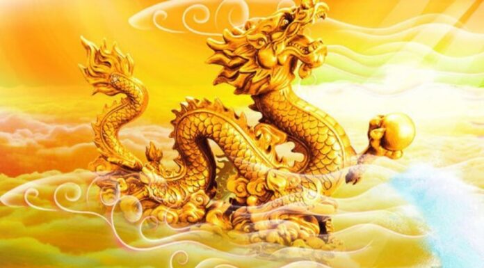 The Will of Heaven is Unavoidable: Profiting at 3 Years Old with the Luck of the Emperor, but Losing Money at 1 Year Old Even While Doing Nothing