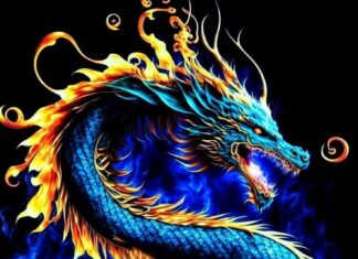 The Fortunate Three: Celestial Blessings and Ancestral Fortune for These Zodiac Signs This Month