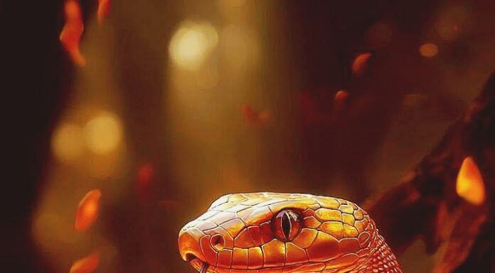 After May 25th: 3 Zodiac Signs Whose Dreams Come True, Wealth and Fame Await, Especially the Dramatic Transformation of Number 2