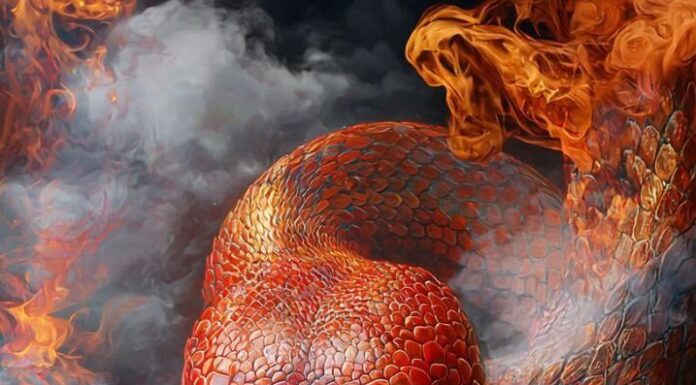 Wealth at 3 Years Old: Attract Wealth and Prosperity, Especially the Lucky Number 2