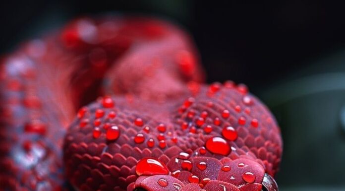 10 Days of Fortune: Uncover the Luck of the Ancestral Gods in the Last 10 Days of April