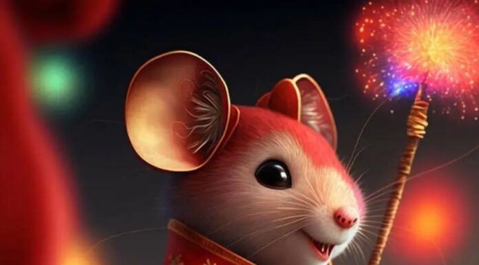 The Fortunate Four: Resilient Souls with a Promise of Prosperity