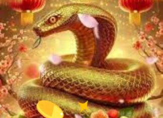 From May 1st: Top 3 Ages for Flourishing Wealth, Renowned Prosperity, and Abundant Blessings