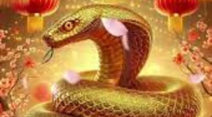 From May 1st: Top 3 Ages for Flourishing Wealth, Renowned Prosperity, and Abundant Blessings