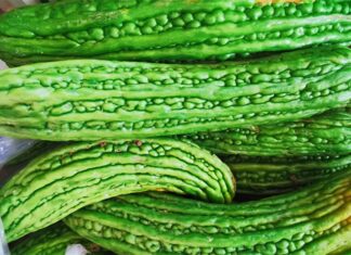 The Secret to Reducing Bitter Melon’s Bitterness by 70%: A Trick Up Your Sleeve.