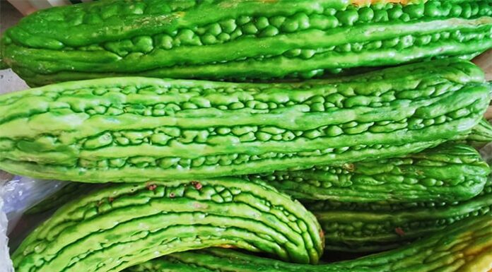 The Secret to Reducing Bitter Melon’s Bitterness by 70%: A Trick Up Your Sleeve.
