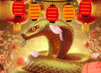 “The Night Before the Dragon Boat Festival (5th of May in Lunar Calendar): Top 4 Fortunate Ages to Welcome Abundant Wealth and Double the Joy.”
