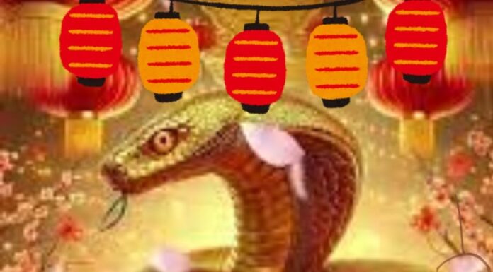 “The Night Before the Dragon Boat Festival (5th of May in Lunar Calendar): Top 4 Fortunate Ages to Welcome Abundant Wealth and Double the Joy.”