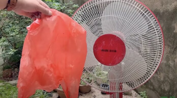 The Ultimate Guide to Cleaning Your Electric Fan Without Taking it Apart: A Simple Yet Effective Method to Remove All the Dust and Grime