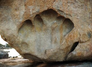 Exploring Hon Vo and Hon Chong in Nha Trang: A Summer Adventure