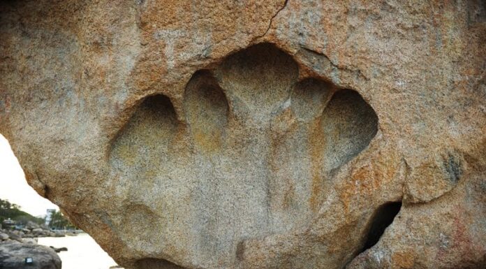 Exploring Hon Vo and Hon Chong in Nha Trang: A Summer Adventure