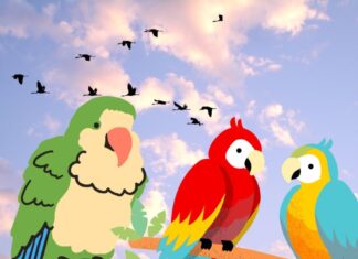 Which Animal is Smarter: Pigs, Dogs, or Parrots? Unveiling the Surprising Intelligence of These Creatures