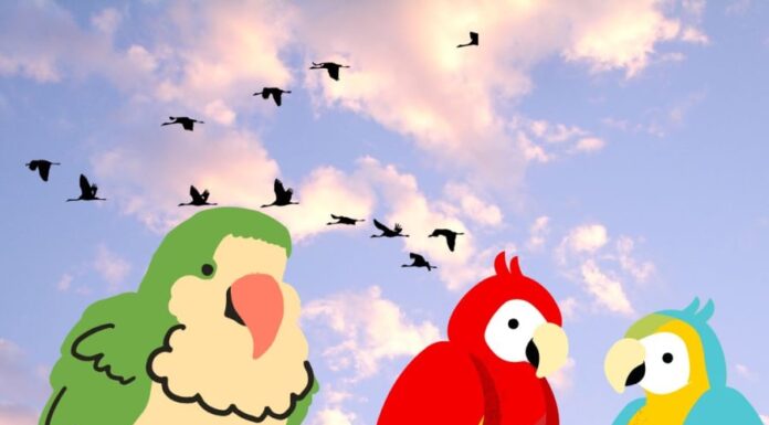 Which Animal is Smarter: Pigs, Dogs, or Parrots? Unveiling the Surprising Intelligence of These Creatures