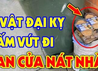 The Four Items That, If Thrown Away Carelessly, Will Make Your Fortune and Luck Vanish