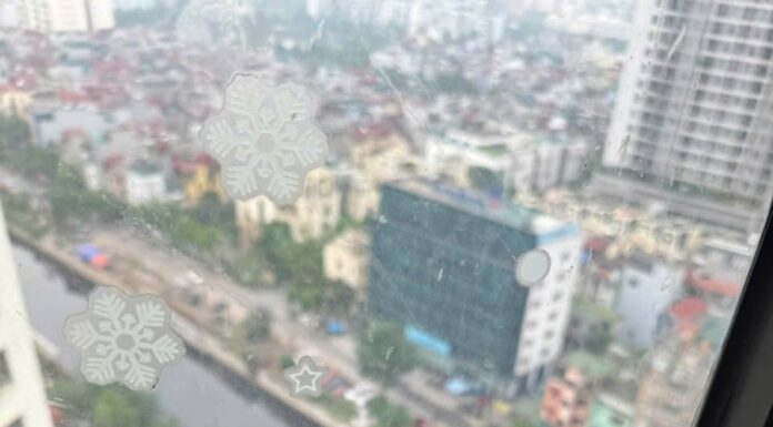 Why Do Coffee Drinkers Look Younger Than Their Actual Age? The Surprising Answer Lies Within Your Cells.