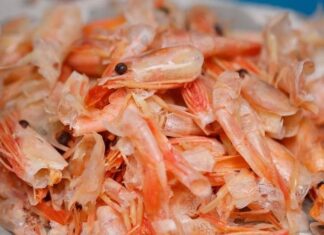 Unlocking Vietnam’s Billion-Dollar Opportunity: The Untapped Goldmine in Shrimp Shells