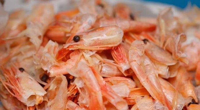 Unlocking Vietnam’s Billion-Dollar Opportunity: The Untapped Goldmine in Shrimp Shells