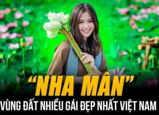 The 5 Regions in Vietnam with the Most Beautiful Women: Especially the Third Location, Which Historically Produced Many Royal Concubines and Queens