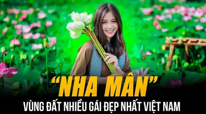 The 5 Regions in Vietnam with the Most Beautiful Women: Especially the Third Location, Which Historically Produced Many Royal Concubines and Queens