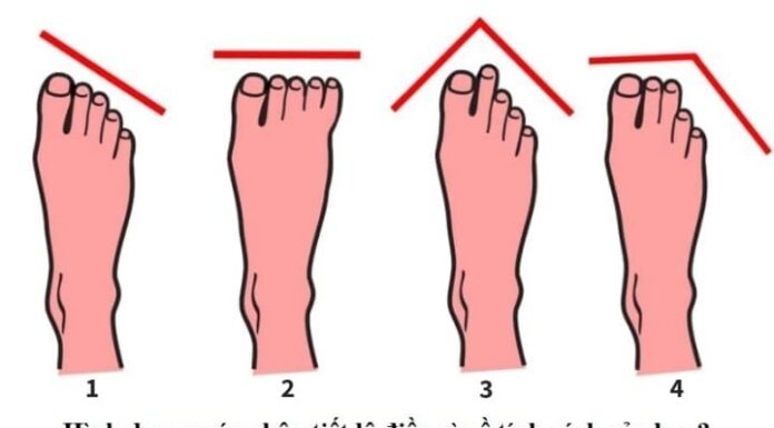 The Length of Your Toes Can Predict Your Fortune: A Peek into Your Future Wealth and Success
