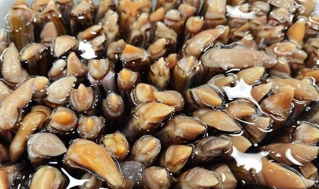 The Ultimate Meat Delicacy: Skinless, Boneless, and Packed with 22 Times More Nutrition Than Pork.