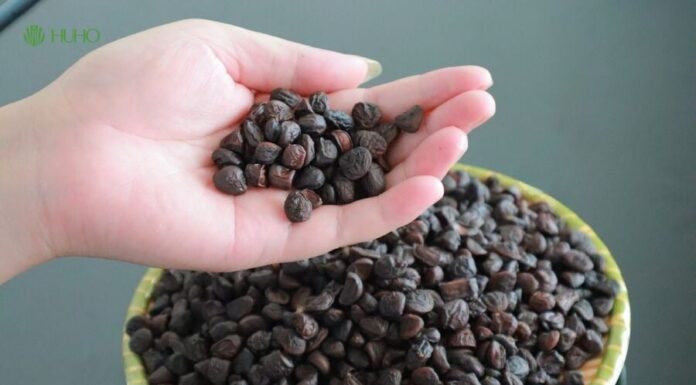 The Ultimate Spice: Vietnam’s Golden Treasure, Once Priced at 600,000 VND per Kilogram, is a Must-Have for Every Home.