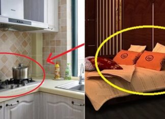 The Ancient’s Wisdom: Avoid These 3 Directions for Your Kitchen and 3 Spots for Your Bed