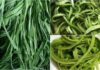 Unveiling the Ultimate Superfood: The Vietnamese Green, Pricier than Meat and as Potent as Ginseng