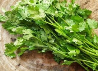 5 Foods You Should Never Eat With Pork: A Cautionary Guide