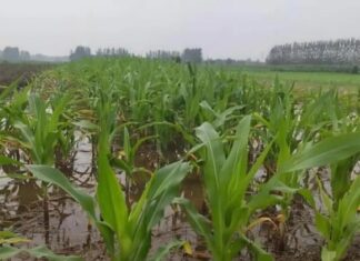 Is It Bad Luck If It Rains on the 6th of June? Uncover the Ancient Beliefs and Superstitions Surrounding This Date.