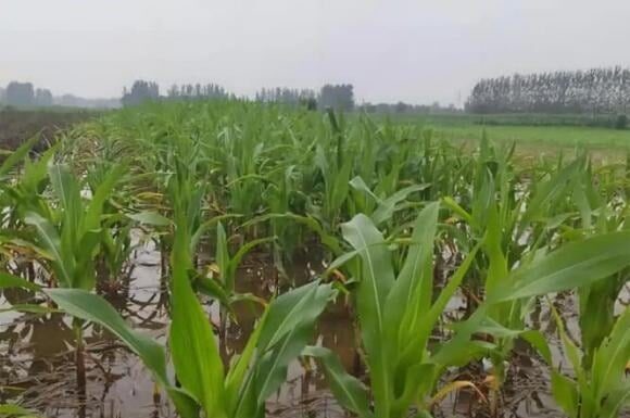 Is It Bad Luck If It Rains on the 6th of June? Uncover the Ancient Beliefs and Superstitions Surrounding This Date.