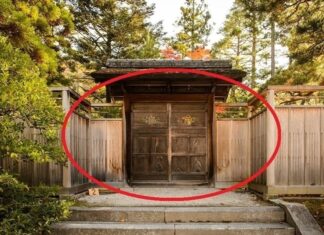 The Ancestors’ Words Ring True: “A House with Two Doors Brings Woe to Both People and Wealth” – Which Door is This?