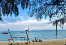 The Tasty Treat of ‘Bearded Chicken’ from a Remote Island in Quang Ninh: Golden Crispy Skin, Aromatic Meat.