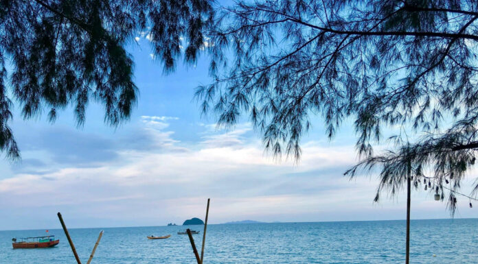 The Tasty Treat of ‘Bearded Chicken’ from a Remote Island in Quang Ninh: Golden Crispy Skin, Aromatic Meat.