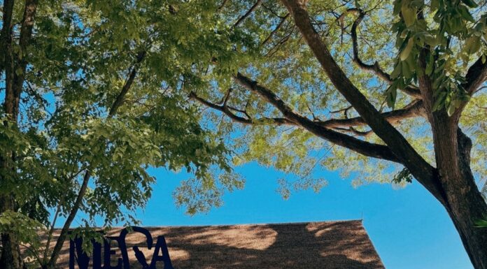 Unveiling Singapore’s Ultimate Entertainment Hub: A Family Adventure