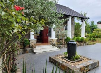 5 Items You Should Never Place in Front of Your Home for Optimal Health and Wealth