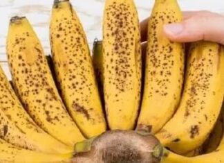 “Keep Bananas Fresh and Yellow for Weeks: The Fruit Vendor’s Secret Trick.”