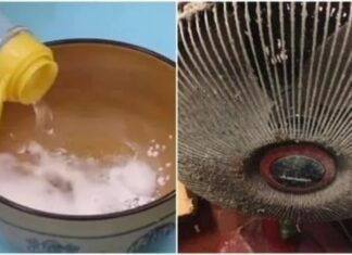 The Ultimate Guide to Cleaning Your Fan Without Taking it Apart: A Simple Hack Using a Plastic Bag
