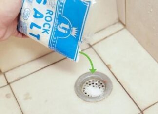 Pour Salt Down the Drain: The Miraculous Effect that has Everyone Talking