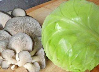 The Ultimate Veggie Stir-Fry: A Delicious and Nutritious Duo