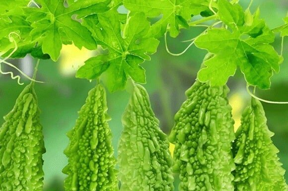 The Superfruit You’ve Been Overlooking: A Natural Remedy for Cancer and Diabetes, Found in Vietnamese Markets.