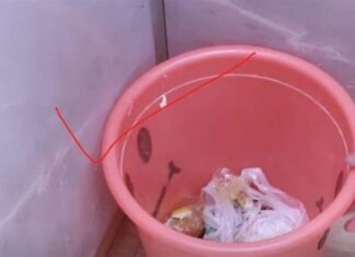 The Ancestors’ Warning: 3 Trash Bin Placement Mistakes That Drive Away Wealth and Prosperity