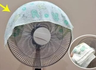 The Ultimate Summer Hack: Stay Cool, Sleep Tight and Save on Energy Bills