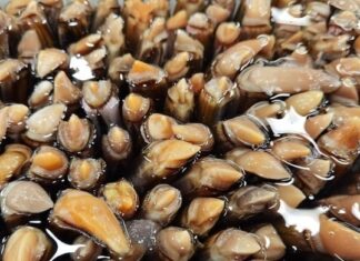 The Ultimate Meat: A Delicious and Nutritious Alternative to Pork