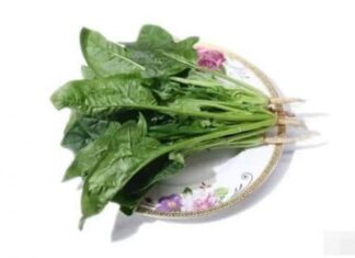 The Power of a Clean Gut: 5 Foods to Detox and Purify Your Body Daily